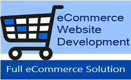 ecommerce development company