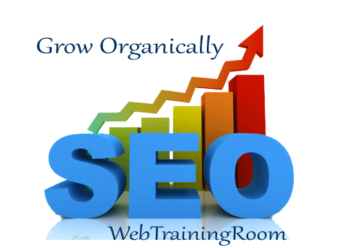 SEO Services in india