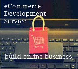 ecommerce website development service